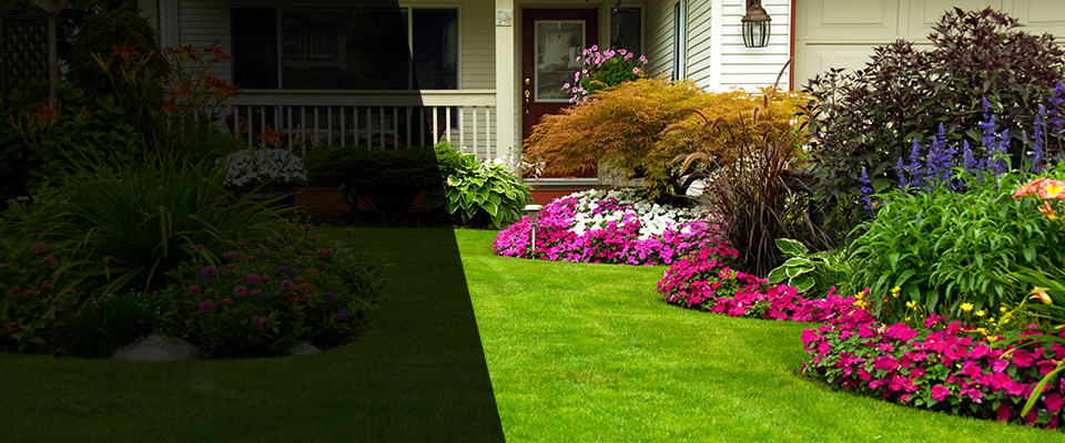 Tuscola Landscapers