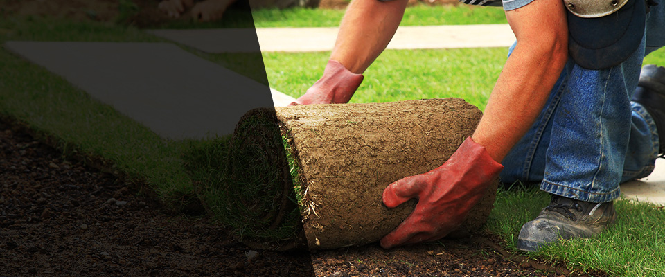Tuscola Landscapers